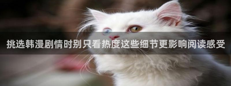 漫画岛网站入口导航