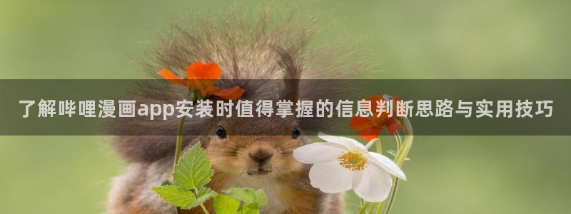 漫画岛漫画专区:了解哔哩漫画app安装时值得掌握的信息判断思路与实用技巧