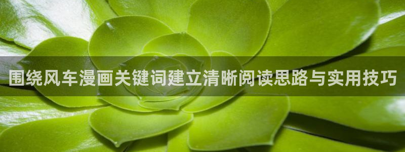 漫画岛网页版导航：围绕风车漫画关键词建立清晰阅读思路与实用技巧